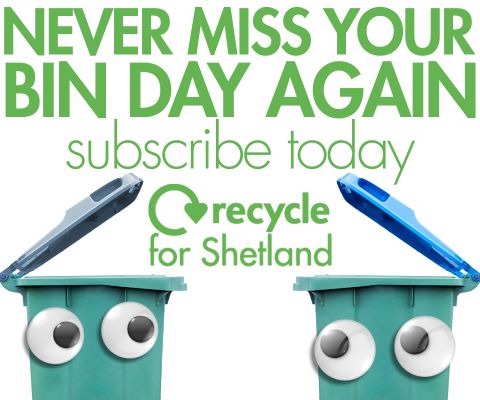Bins Newsletter