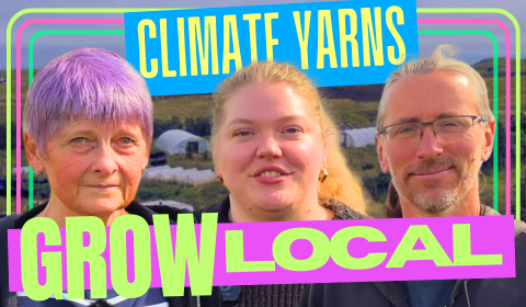YARNS grow local