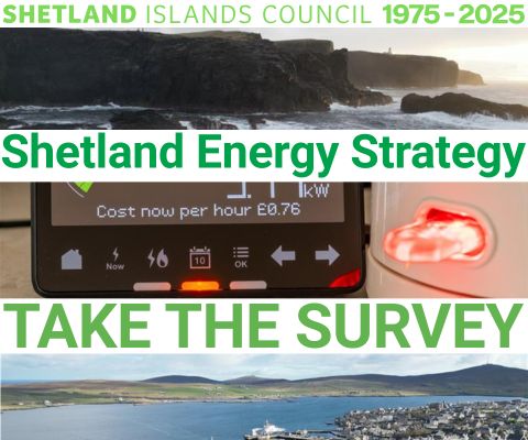 Energy Strategy SURVEY