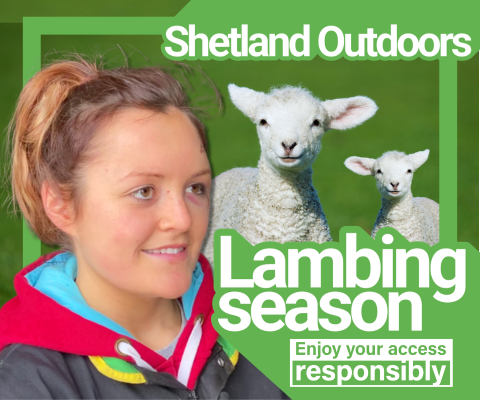 Outdoors Lambing 2026