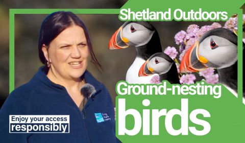 Outdoors nesting 2026