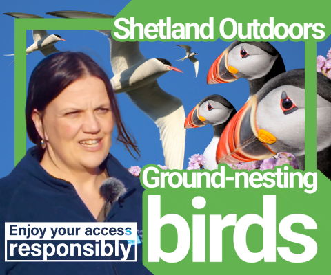 Outdoors nesting 2026