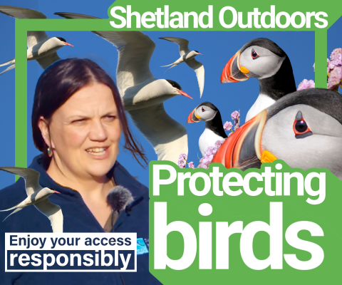 Outdoors nesting 2026