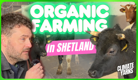 yarns Organic Farming