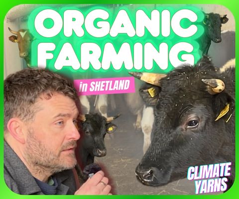 yarns Organic Farming