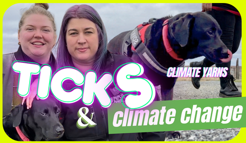 Yarns Ticks n climate