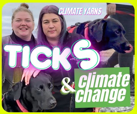 Yarns Ticks n climate